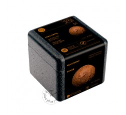 Colonial chocolate ice cream 425g Sandro Desii